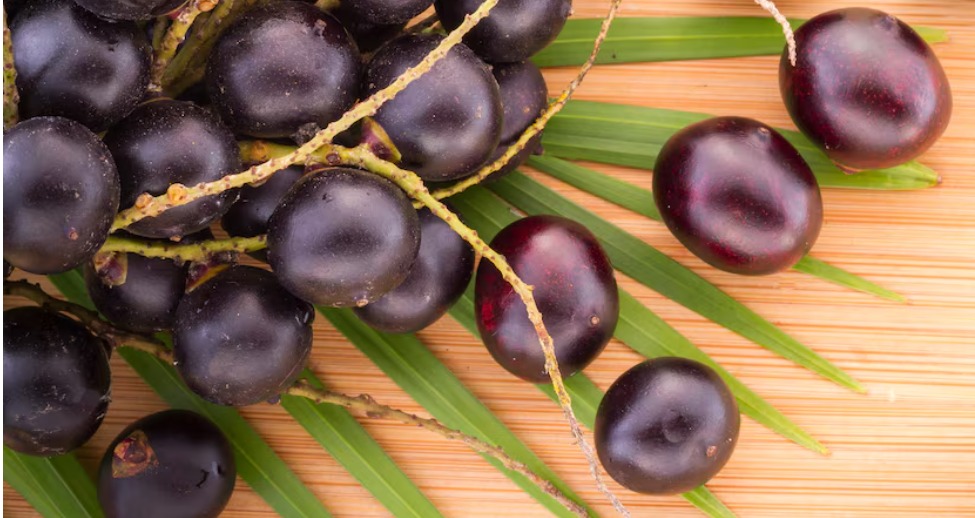 3 curiosidades sobre o consumo do açaí no Norte